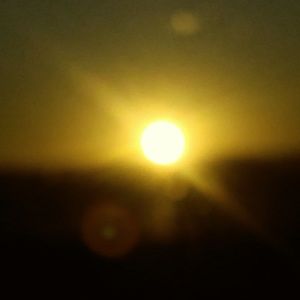 Meet your Posher, Scarlett